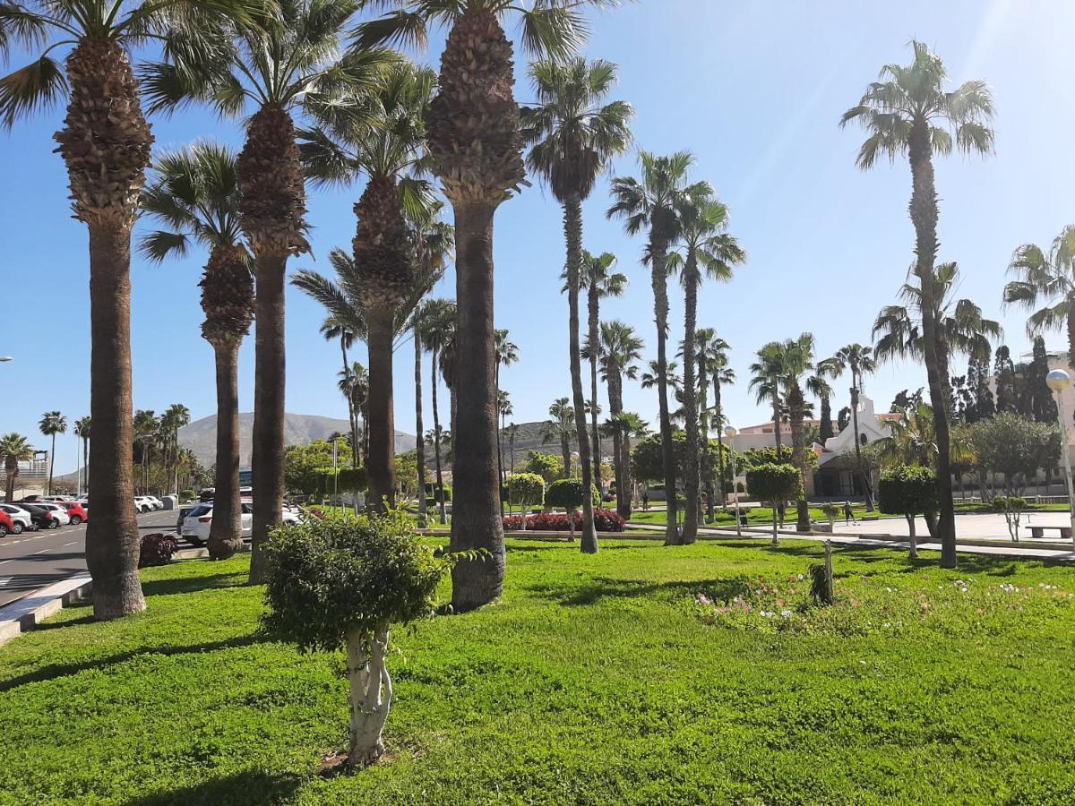 Comfortable Apartment In Las Americas, Ph317 With Pool Next To The Ocean Playa de las Americas  Exteriör bild